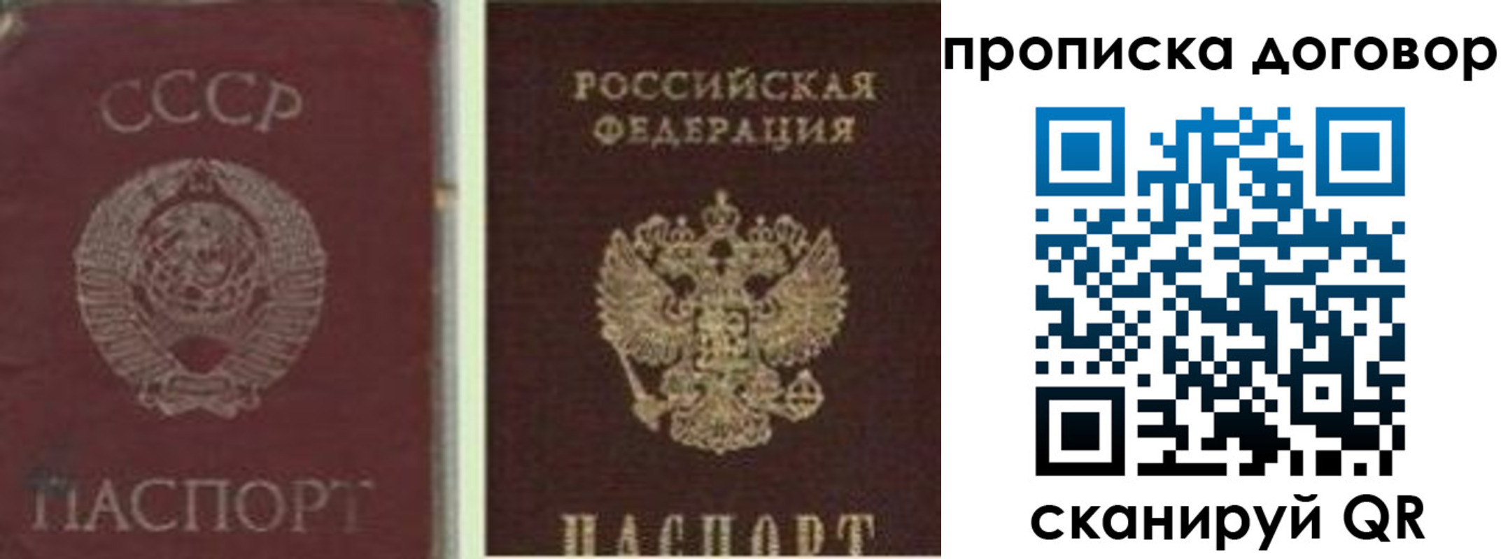 прописка гарантия в Дмитрове
